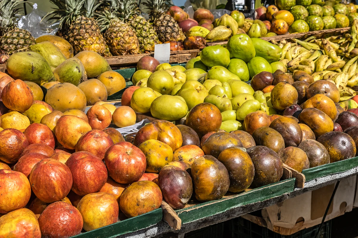 Features of life in Hawaii