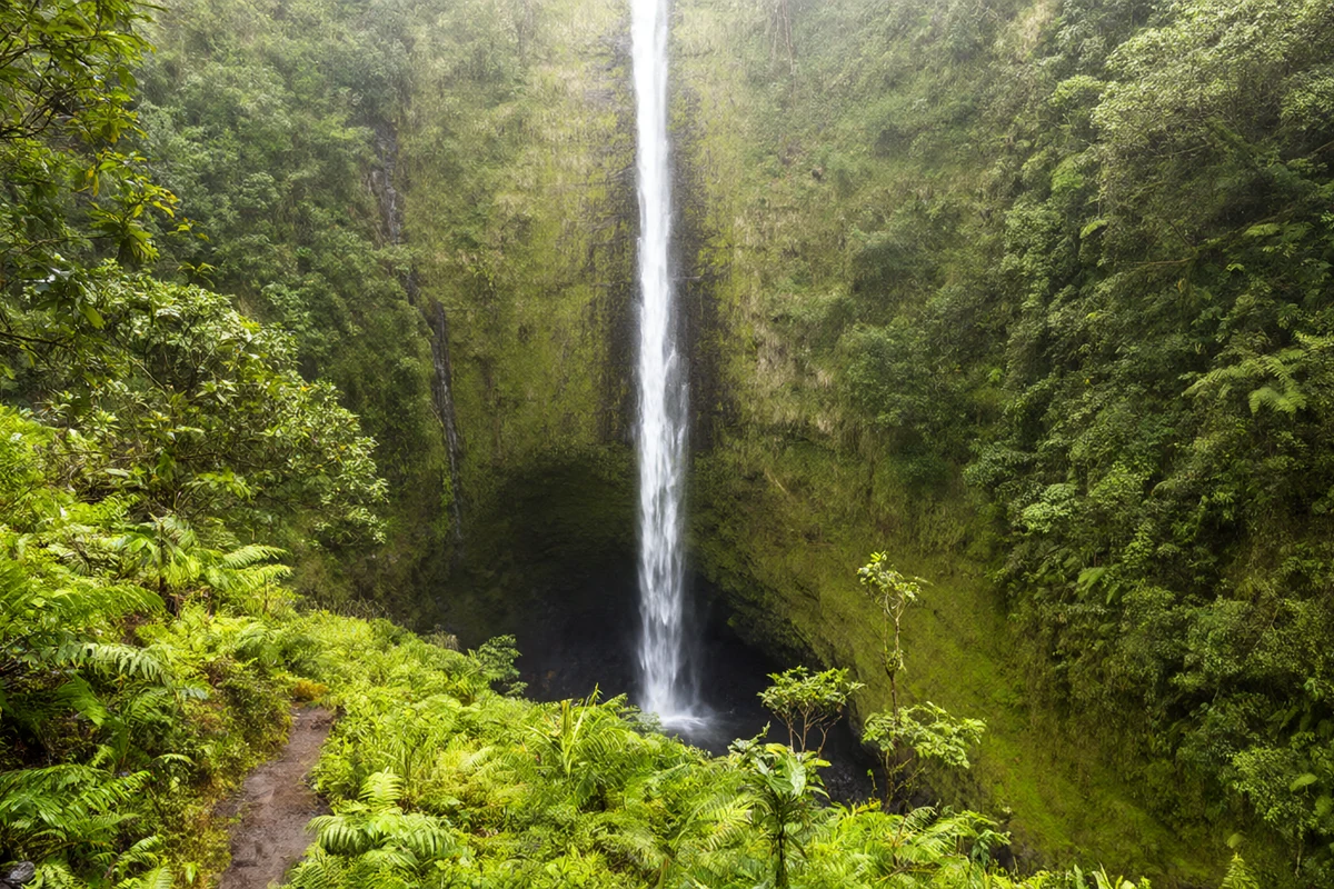 Hiking trails and lookouts in Hawaii