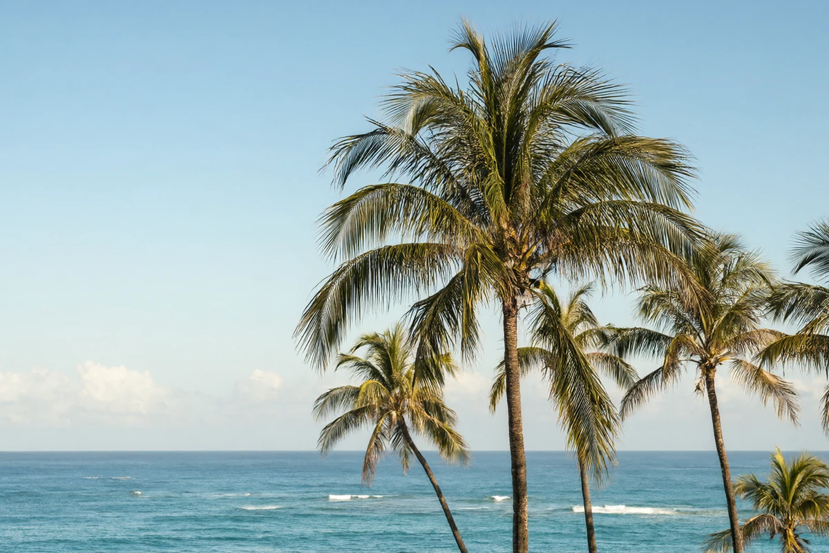 The best time to visit Hawaii
