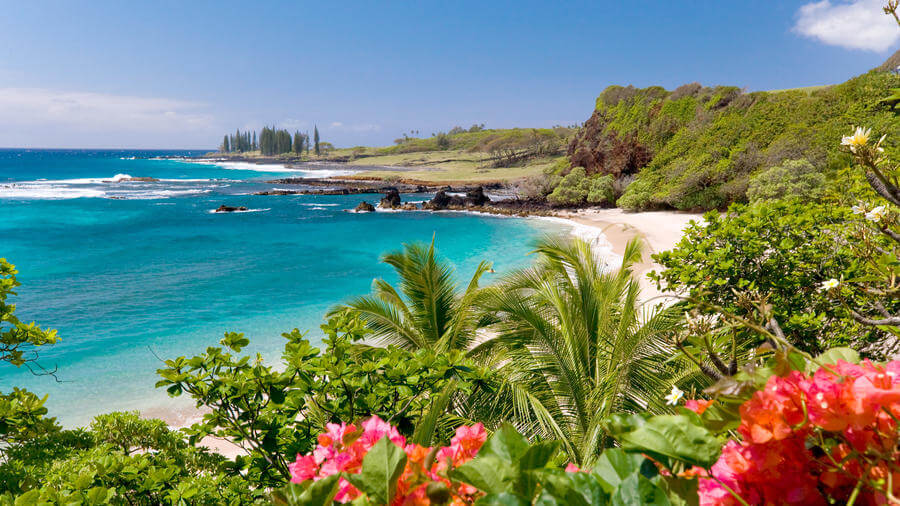 Famous Hawaii, What Can It Do For You?